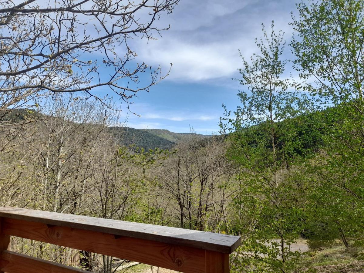 Mon Chalet Au Coeur Des Cevennes Vebron 外观 照片